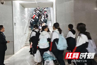 茶陵县今年首趟“我的韶山行”旅游专列开行