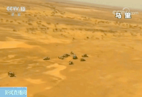 总人口马里_马里努阿犬(2)